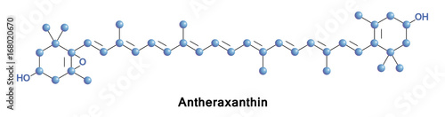 Antheraxanthin pigment photosynthesis