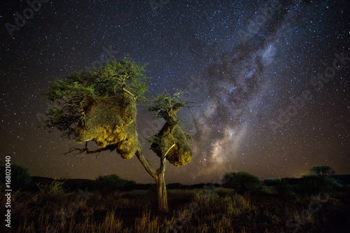 Blazing milky way in the kalahari desert during a new moon in the northern cape of south africa photo