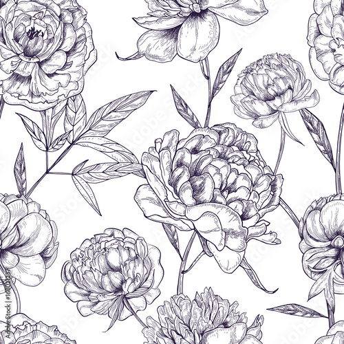 Beautiful peonies seamless pattern. Hand drawn blossom flowers, buds and leav...