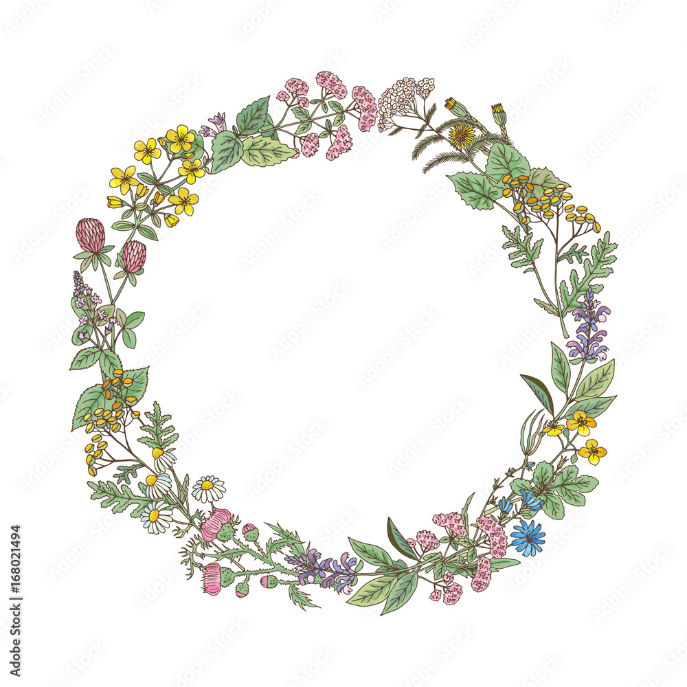 Wreath from hand drawn herbs and flowers Wreath from hand drawn herbs and flowers