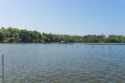 The Hikkaduwa Lake in the north-east of the same city. With its monitor lizards and numerous birds, it is a very pleasant excursion away from the beach. The lagoon with an estuary, has mixed water photo