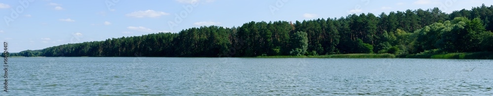 A long panorama of the forest near the lake on the growing