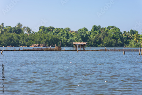 The Hikkaduwa Lake in the north-east of the same city. With its monitor lizards and numerous birds, it is a very pleasant excursion away from the beach. The lagoon with an estuary, has mixed water photo