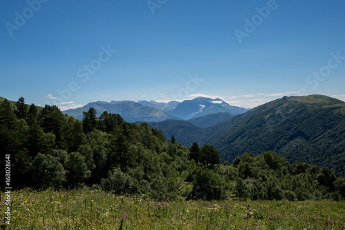 Wallpaper Mural Majestic mountain landscapes of the Caucasian reserve Torontodigital.ca