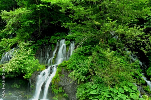 山梨県　清里　吐竜の滝
