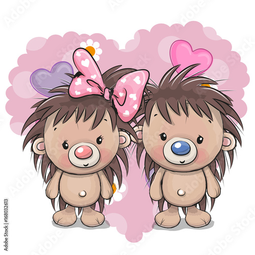 Two Cute Cartoon Hedgehogs