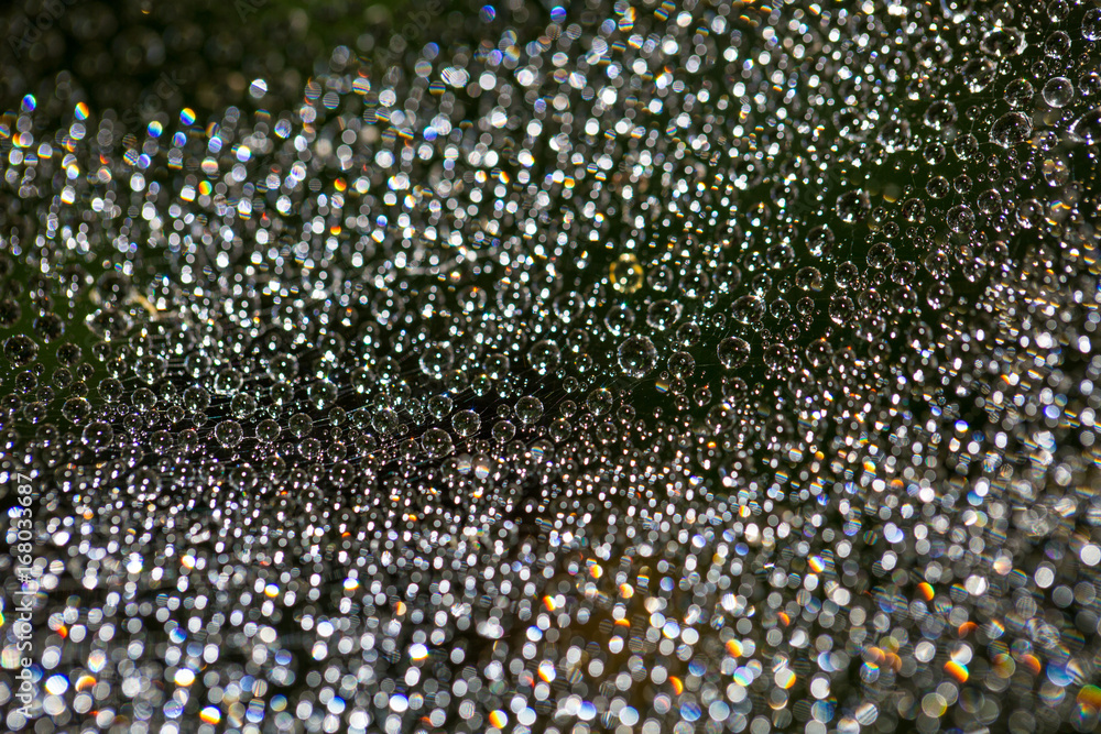 A drop of water on a cobweb. Macro. Blurred green background. A drop of water on a cobweb. Macro. Blurred green background.