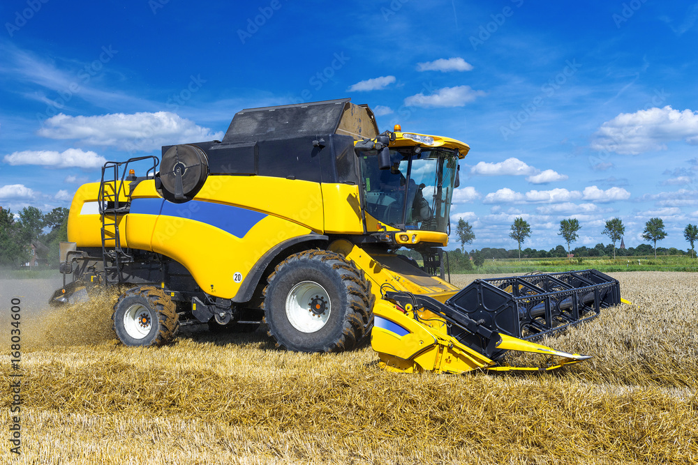 Obraz premium Combine harvester in action - 6512