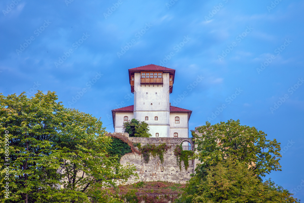 Castle of Gradačac. Husein-kapetan Gradaščević or Zmaj od Bosne (