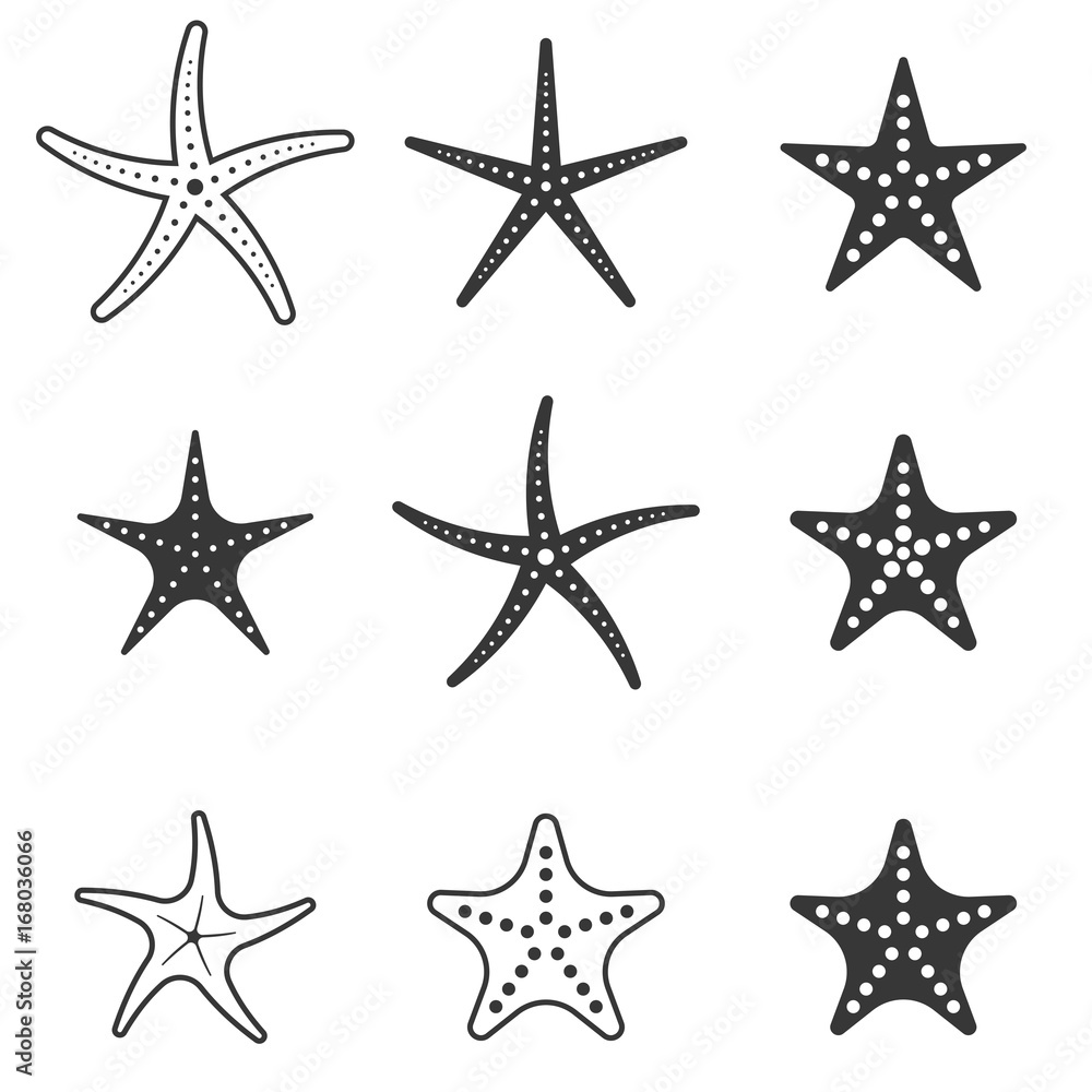set of starfish icon, silhouette icon