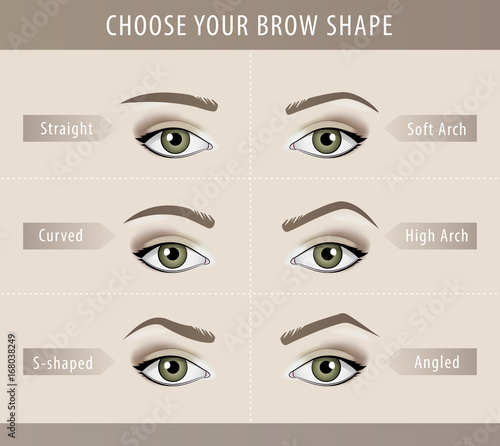 Different eyebrow shapes tutorial. vector template