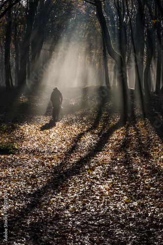 Foreste Casentinesi National Park  Badia Prataglia  Tuscany  Italy  Europe. One person is walking through sun rays in the mist.