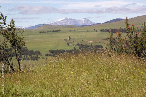 Landscape in Patagonia  Chile