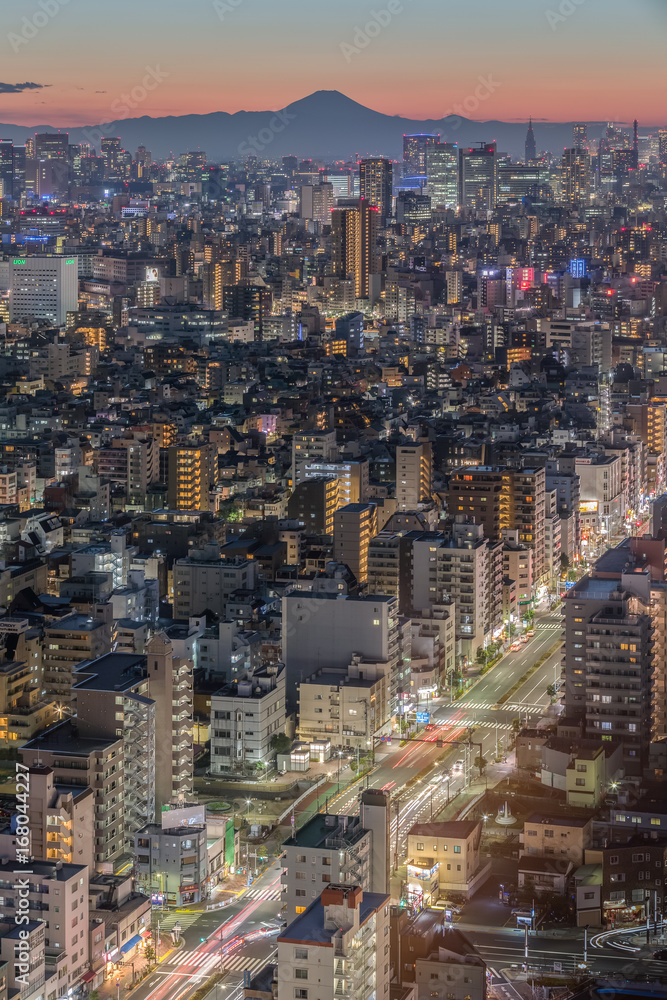 Naklejka premium Tokyo city view and Mountain Fuji in sunset