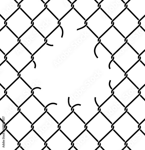 Mesh netting Torn. Rabitz  with hole. Mesh fence Ripped background