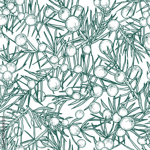 Juniper seamless pattern. Detailed hand drawn branches with berries. Contour hand drawn illustration.