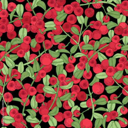 Lingonberry seamless pattern. Detailed hand drawn branches with berries. Colorful hand drawn illustration.