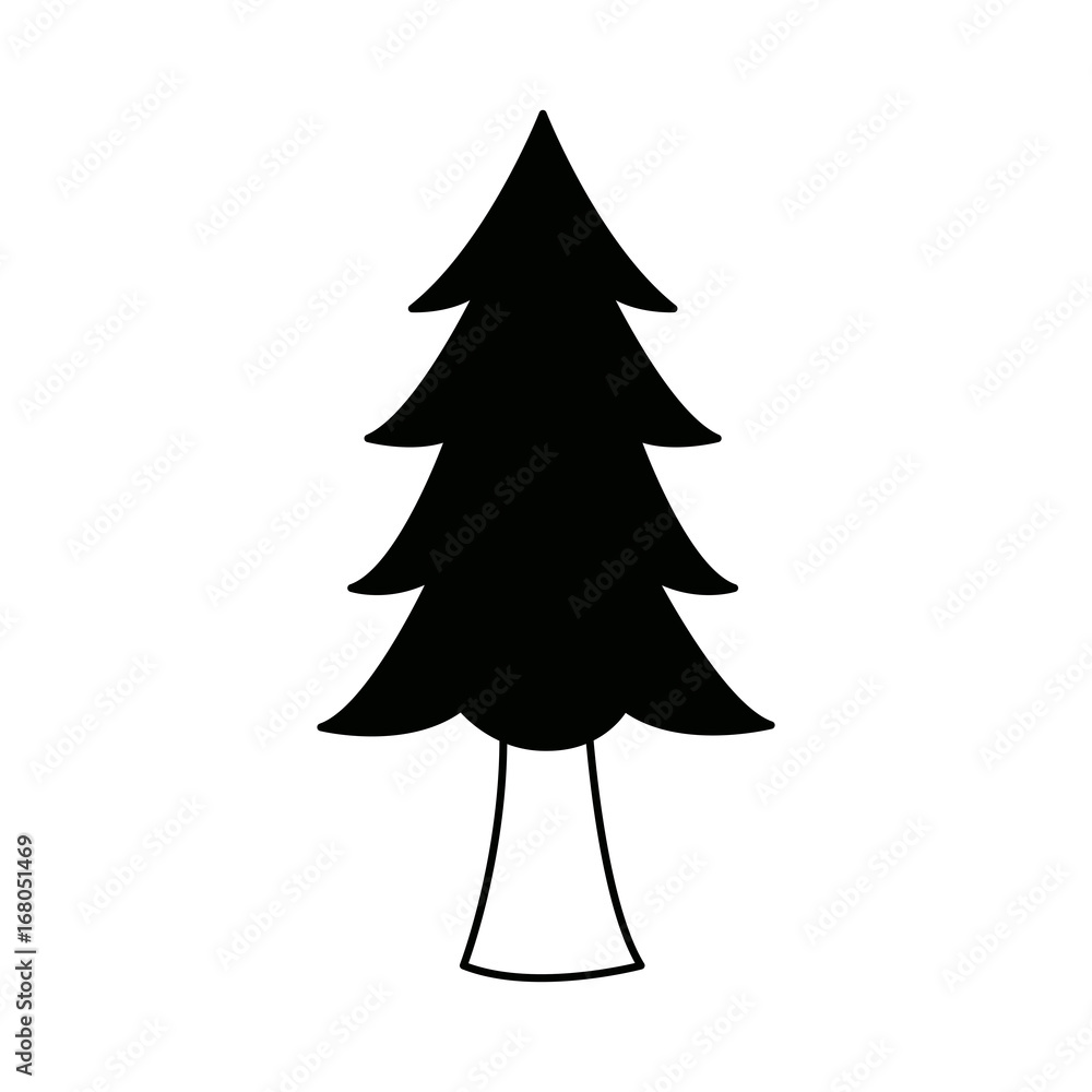 Fototapeta premium pine tree plant national forest nature switzerland vector illustration