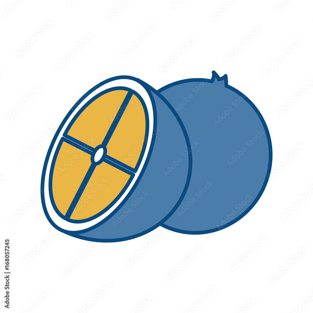 lemon slice icon lemon slice icon