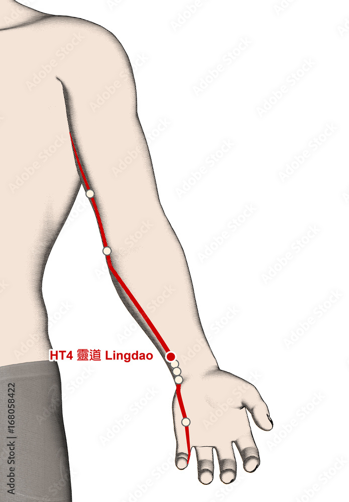 Drawing Acupuncture Point HT4 Lingdao, 3D Illustration Drawing Acupuncture Point HT4 Lingdao, 3D Illustration