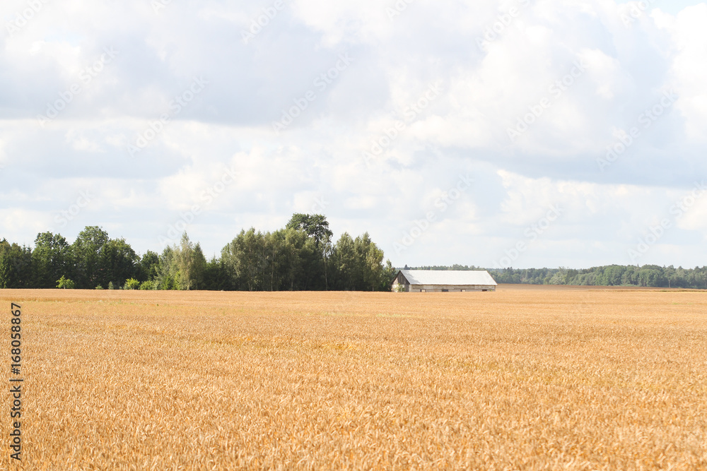 Country landscape farm view.