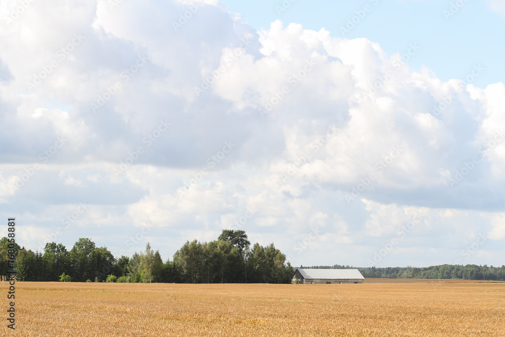 Obraz premium Farmside house on a cloudy day.