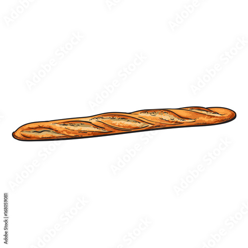 vector sketch fresh french bread baguette. Detailed hand drawn isolated illustration on a white background. Flour pastry products, bakery banner, poster design object
