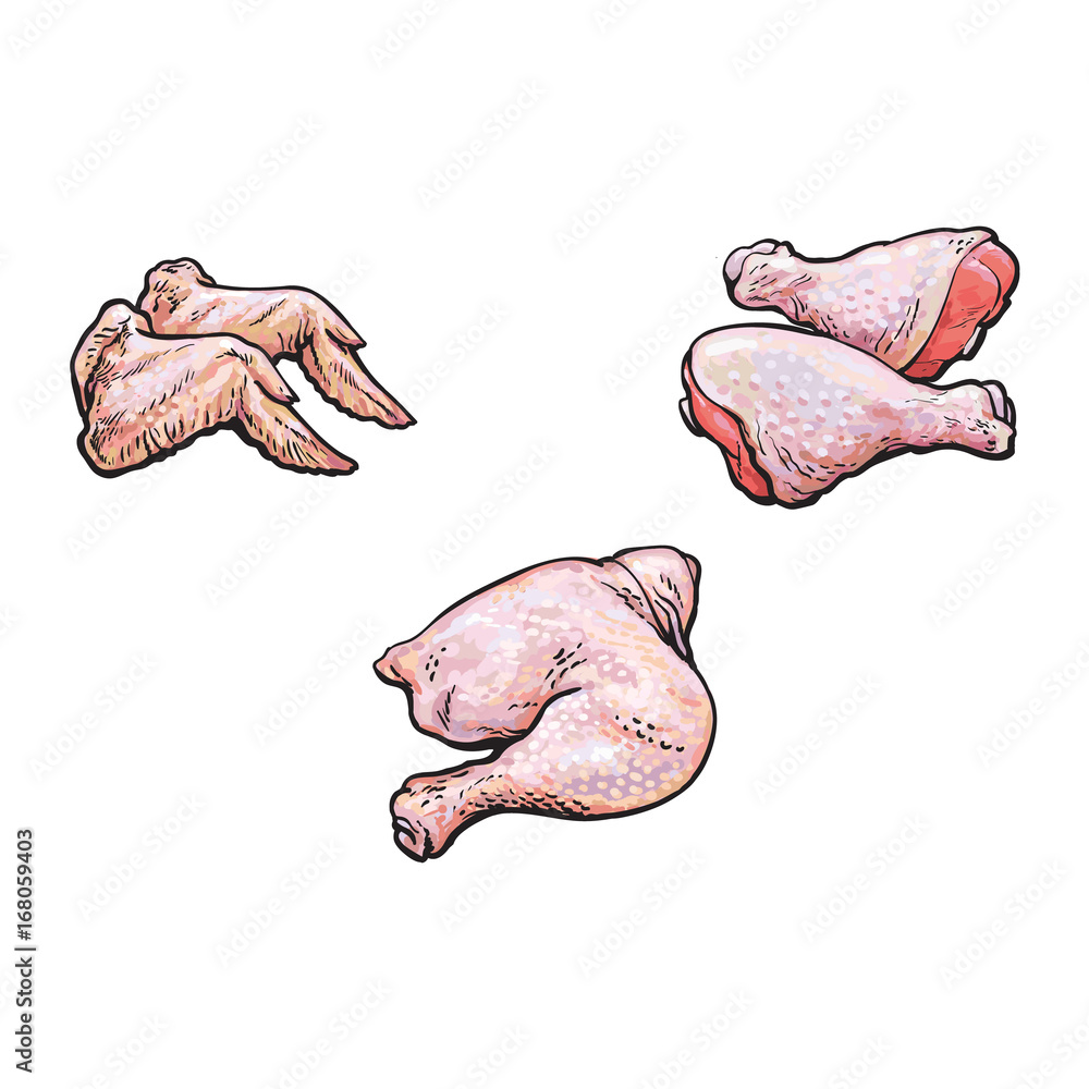 Fresh Chicken Wings. Top View. Isolated On A White Vintage Vector Isolated  Sketch Hand Drown Royalty Free SVG, Cliparts, Vectors, and Stock  Illustration. Image 67594037.