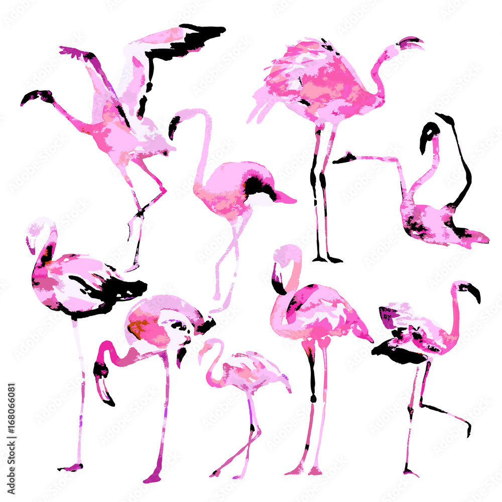Obraz premium Beautiful watercolor flamingos, isolaned on a white. Big set.