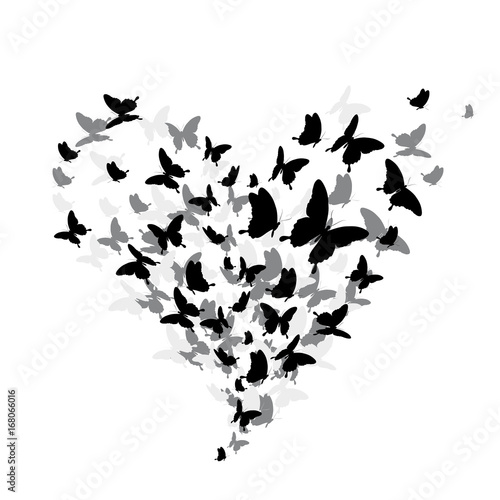 black butterfly, heart, isolated on a white