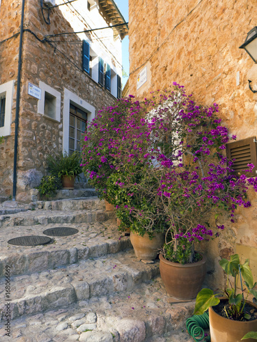Fototapeta Naklejka Na Ścianę i Meble -  Blumentöpfe vor den Häusern eines kleinen spanischen Ortes