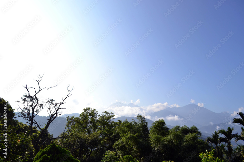 Obraz premium Lush forest and mountains with the color gradation of the sky