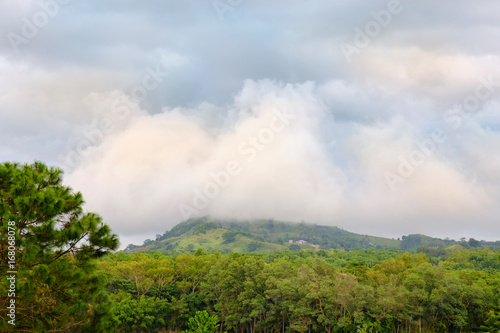 Mountain and mist / View of mountain and mist.