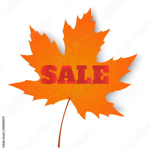 Autumn sale. Autumn maple leaf isolated on a white background. Vector illustration