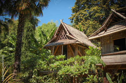 cabane exotique au milieu de la jungle de palmiers