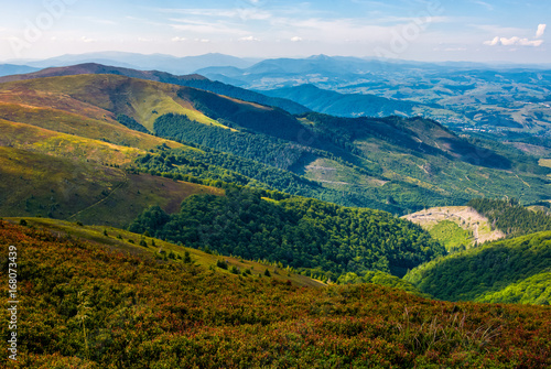 Fototapeta Naklejka Na Ścianę i Meble -  grassy mountain tops with forests on slopes