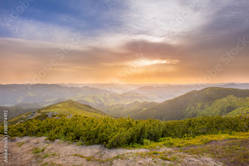 Summer morning landscape in the mountains