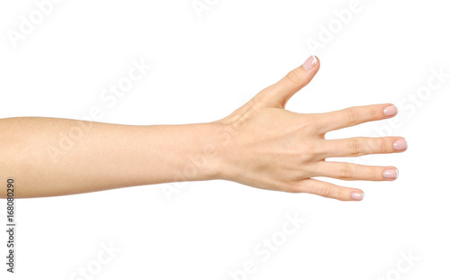 Woman's stretched hand with open palm