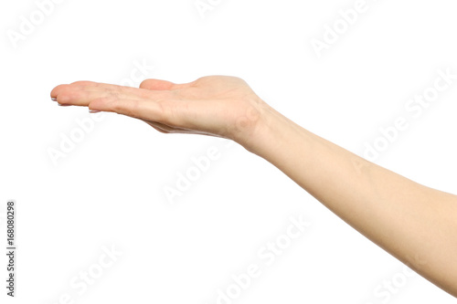 Woman's stretched hand with open palm