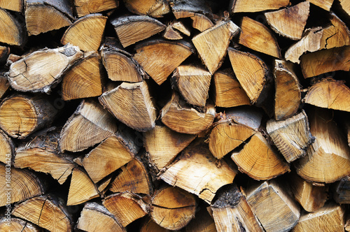 Fotografija Coupe de bois horizontal