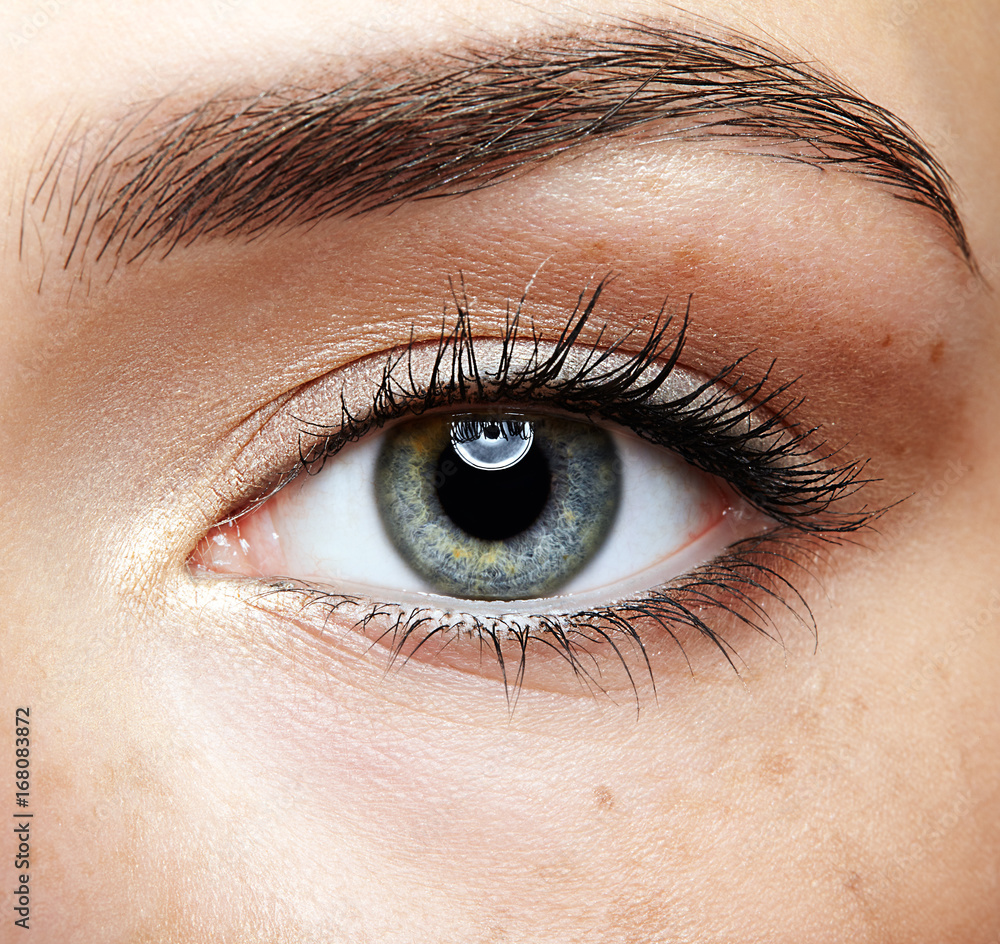 Obraz premium Closeup macro portrait of female face. Human girl eye with day beauty makeup. Woman with perfect skin and freckles