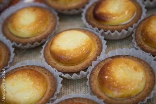 hokkaido cheese tart