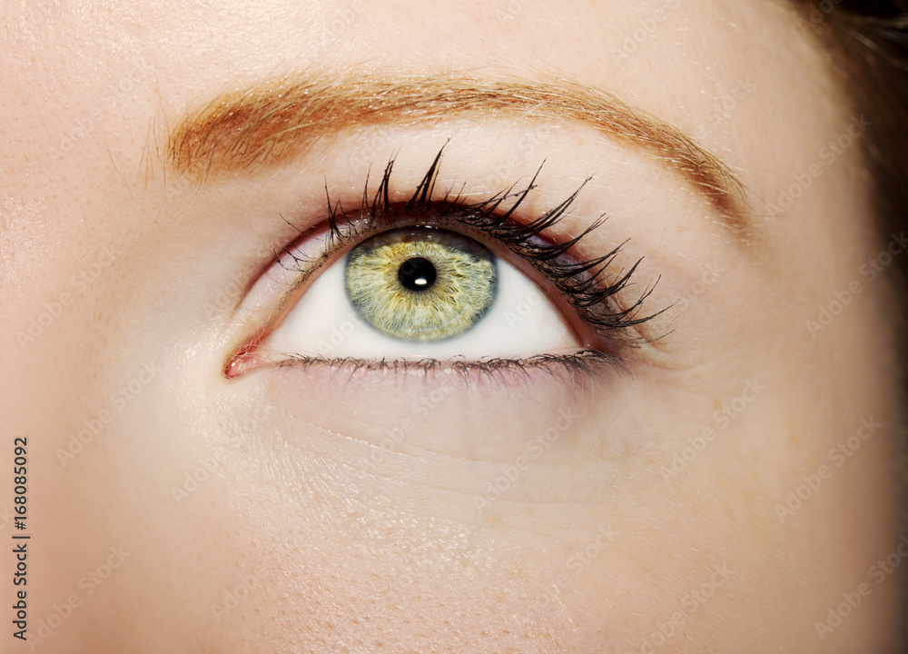 A beautiful insightful look woman's eye. Close up shot A beautiful insightful look woman's eye. Close up shot