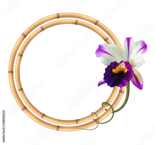 Realistic bamboo frame with orchid flower.