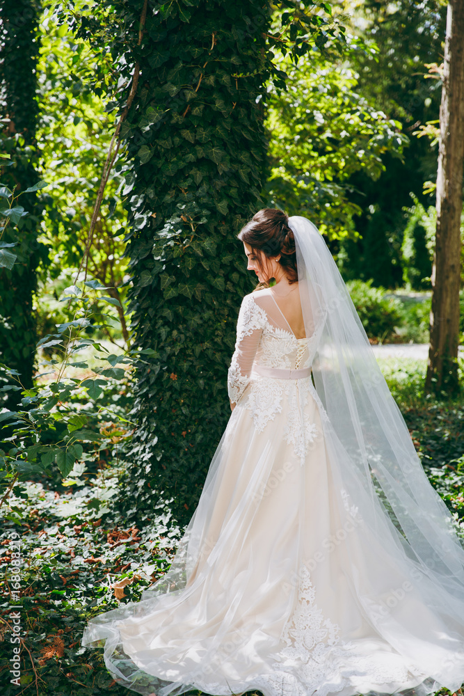 Portrait of a beautiful bride on wedding day Portrait of a beautiful bride on wedding day