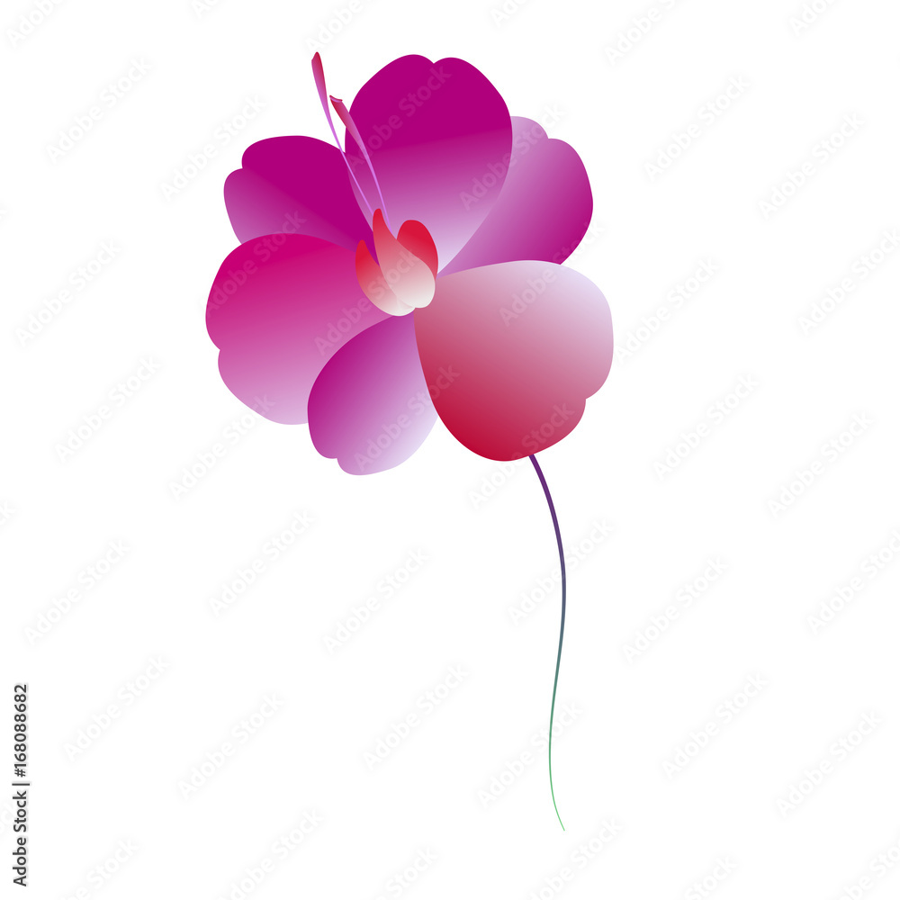 Naklejka premium beautiful flowers