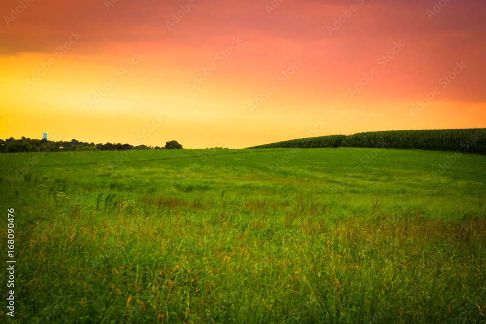 Beautiful farm field with grass, silo and corn at sunset. Amish country, Lancaster  Pennsylvania 
