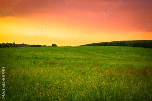 Beautiful farm field with grass  silo and corn at sunset. Amish country  Lancaster  Pennsylvania 