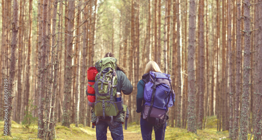 Young beautiful couple walking in forest. View from the back. Camp, tourism, hiking concept. Young beautiful couple walking in forest. View from the back. Camp, tourism, hiking concept.