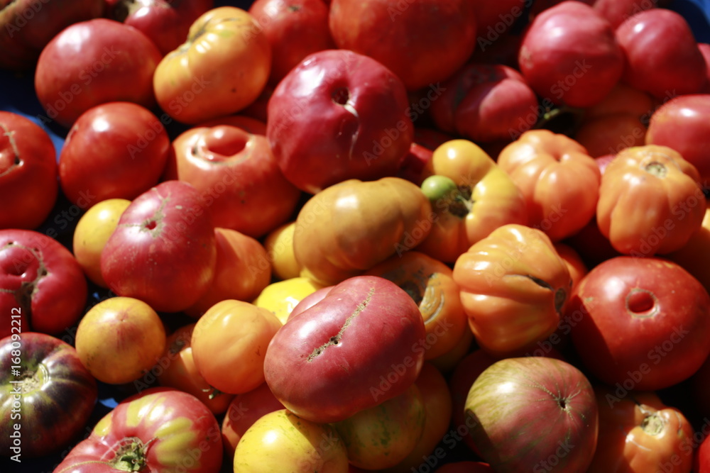 Heirloom tomatoes for sale at the Farmers Market Heirloom tomatoes for sale at the Farmers Market